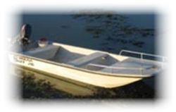 lod Carolina Skiff 1765 DLX